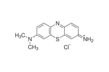 Trusted Giemsa Stain Manufacturer & Supplier | GSP Chem