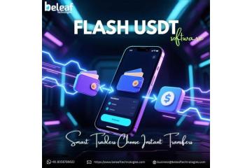 Smart Traders Choose Flash USDT Software for Instant Transfers