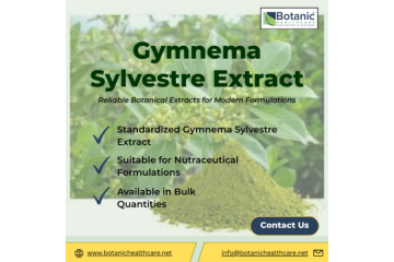 Gymnema Sylvestre Extract Supplier | Bulk Manufacturer India