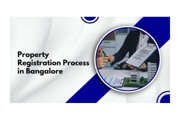 Complete Property Registration Process for Legal