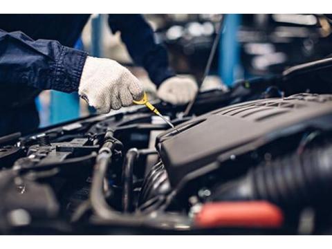 Expert Auto Electrician & Car Repair Services in North Shore Auckland