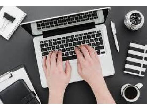 US Form Filling Project - Bulk & Single-System Data Entry 7708244092