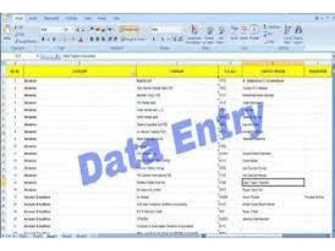 Genuine US Medical Data Entry Project - 11 Month      Contract 7708244092