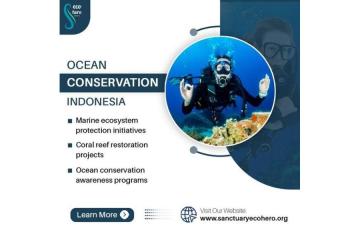 Ocean conservation Indonesia