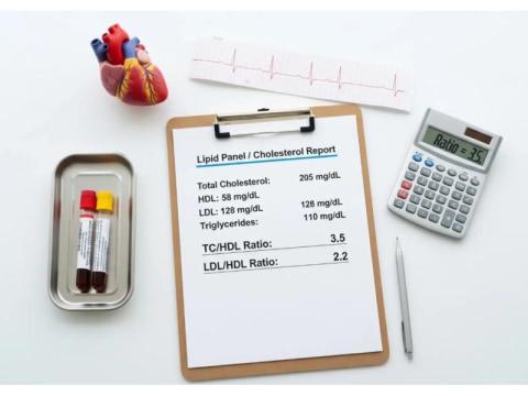 Check Your Heart Health with Cholesterol Ratio Tool