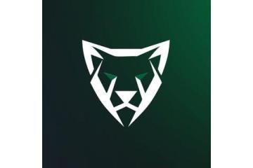 Online Brand Analysis Report Service: Strengthen Your Digital Identity