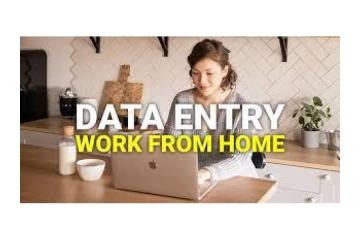 High-Paying Data Typing Work | Contact Us