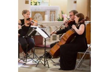 Top-Tier String Quartet Melbourne | String Musicians Australia