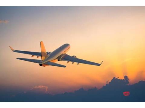 ¿Cómo me comunico con wingo en colombia?