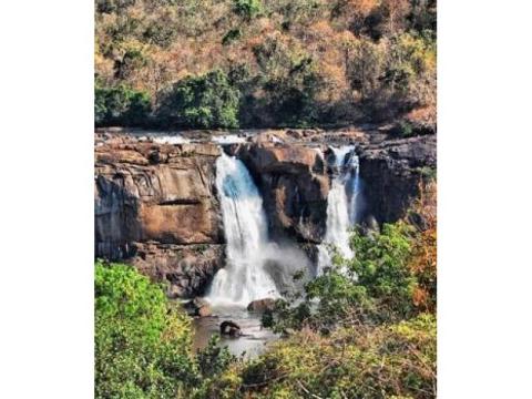 Visit Kerala This Season: Book Your Relaxed Holiday Now 