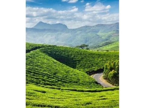 Visit Kerala This Season: Book Your Relaxed Holiday Now  - 2/2