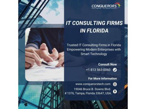 IT Consulting Firms in Florida  | Conquerors Technologies