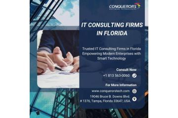 IT Consulting Firms in Florida  | Conquerors Technologies