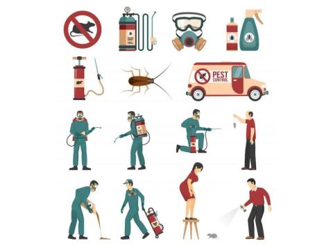 Reliable Pest Control Irvine | Malang Pest Control Experts