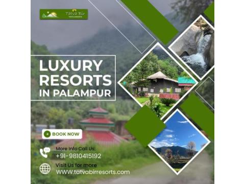Luxury Resorts In Palampur with Premium Amenities