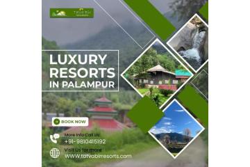 Luxury Resorts In Palampur with Premium Amenities