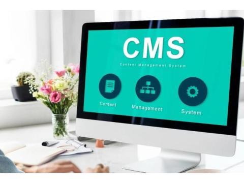 CMS Website Development Company India Solutions by Matrix Bricks India 