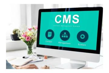 CMS Website Development Company India Solutions by Matrix Bricks India 