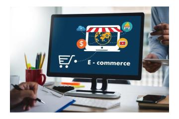 Ecommerce Websites Development Solutions by Matrix Bricks India 