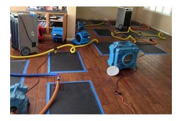 Wet Carpet Cleaning Sunshine Coast