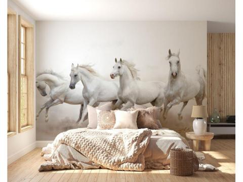 Running Horses Wallpaper Murals