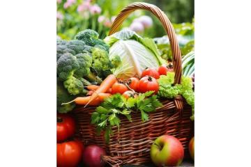 New Fruit and Vegetable Market Dubai