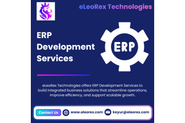 Best ERP Development Services | eLeoRex Technologies