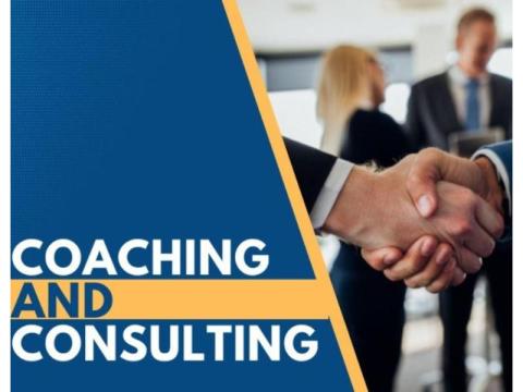 Coaching and Consultancy | Dezin Consulting