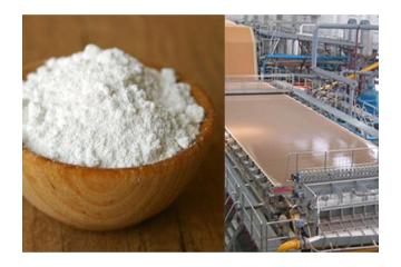 Leading Starch Manufacturers in Tamilnadu Santosh Starch Product Limited