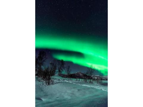 Unforgettable Arctic Moments Through Levi Activities