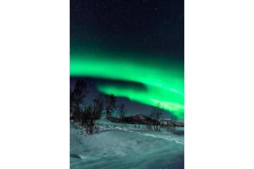 Unforgettable Arctic Moments Through Levi Activities