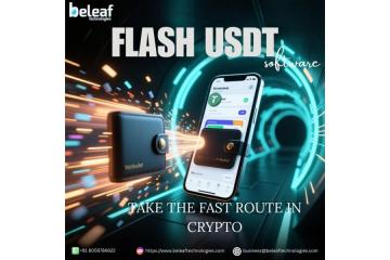 Take the Fast Route in Crypto with Flash USDT Solutions