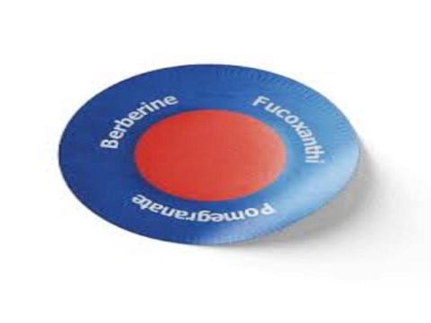 Surgonix Patch Germany Reviews: The Ultimate Pain Relief Solution!