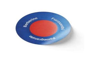 Surgonix Patch Germany Reviews: The Ultimate Pain Relief Solution!