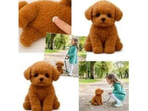 Wuffy Dog Review 2026 The Ultimate Pet Companion for Comfort, Safety & Style Where To Buy!