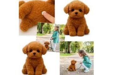 Wuffy Dog Review 2026 The Ultimate Pet Companion for Comfort, Safety & Style Where To Buy!