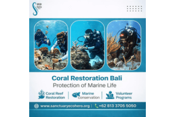 Coral Restoration Bali – Protection of Marine Life
