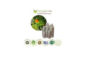 Premium Bergamot Essential Oil Supplier