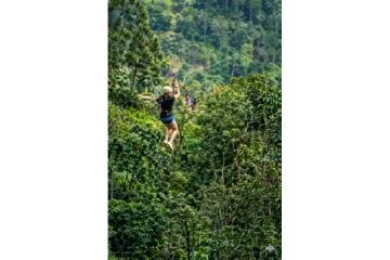 Best Zipline Tour Near You Safe, Fun & Unforgettable Adventure