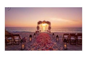 Destination Wedding Bharat Helps You Plan the Best destination wedding in jim corbett