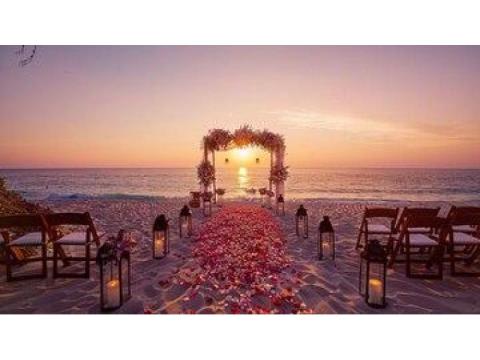 Destination Wedding Bharat Helps You Plan the Best destination wedding in jim corbett - 2/2