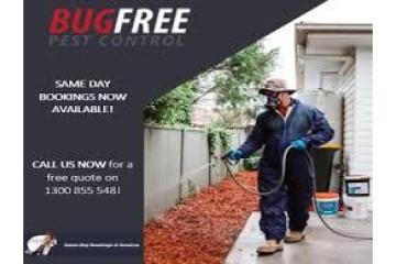Pest Control Lidcombe