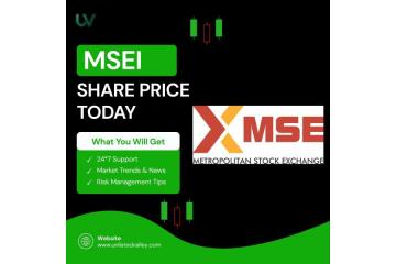 Metropolitan Stock Exchange Share Price Today – Unlisted Valley Insights