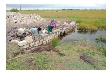 Buy Residential Plots in Dholera Smart City