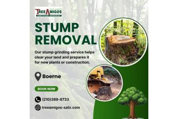 Stump Removal in Boerne