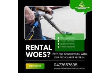 Top Carpet Cleaning Experts in North Brisbane for Homes & Offices