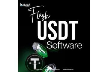 Faster Transactions, Smarter Workflow Flash USDT Software