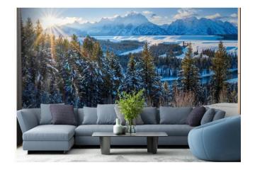 Winter Majesty Wall Mural