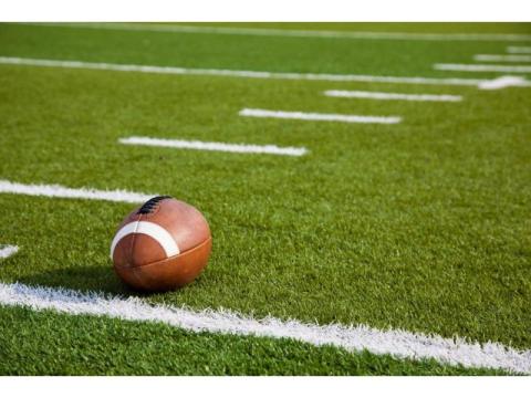 How to Choose the Right Sport Grass for Your Field