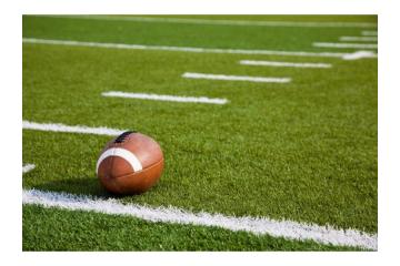 How to Choose the Right Sport Grass for Your Field